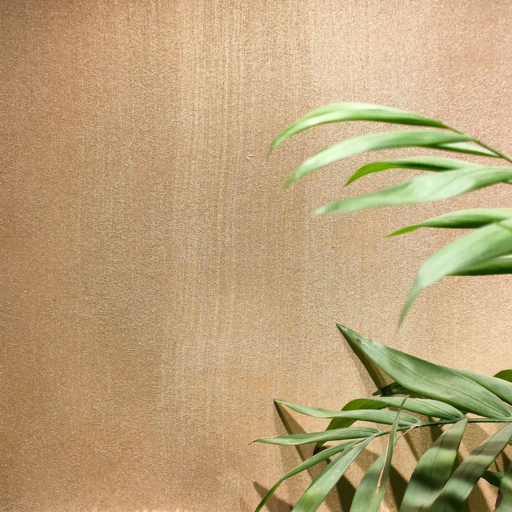 son-hieu-ung-anh-kim-kingcatpaint